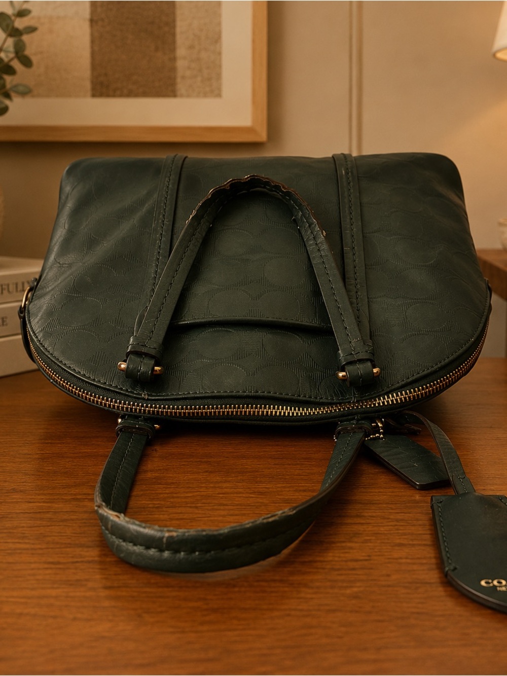 Coach Dark Green Leather Embossed Leather Dome Satchel Bag F31407 - Picture 4 of 13